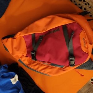 Patagonia Atom sling bag